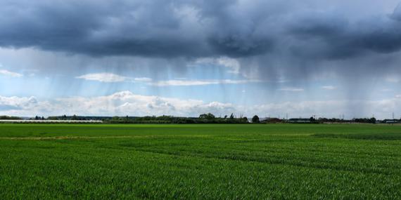 Baubetreuung in der Stadt Heide